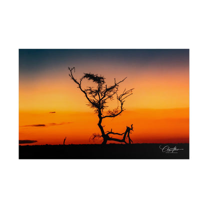 Rolled Posters - Sunset over the Kalahari