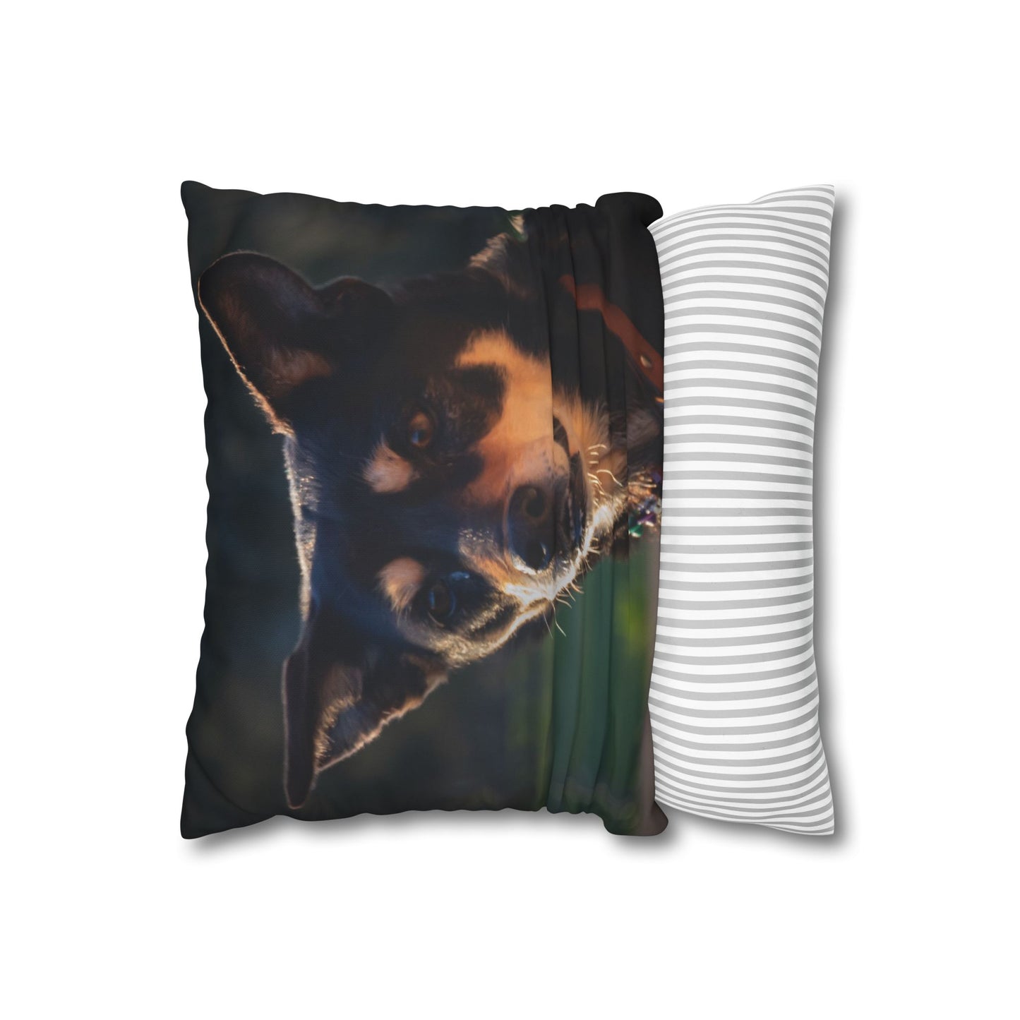 Poly Canvas Pillowcase - Saba the Kelpie