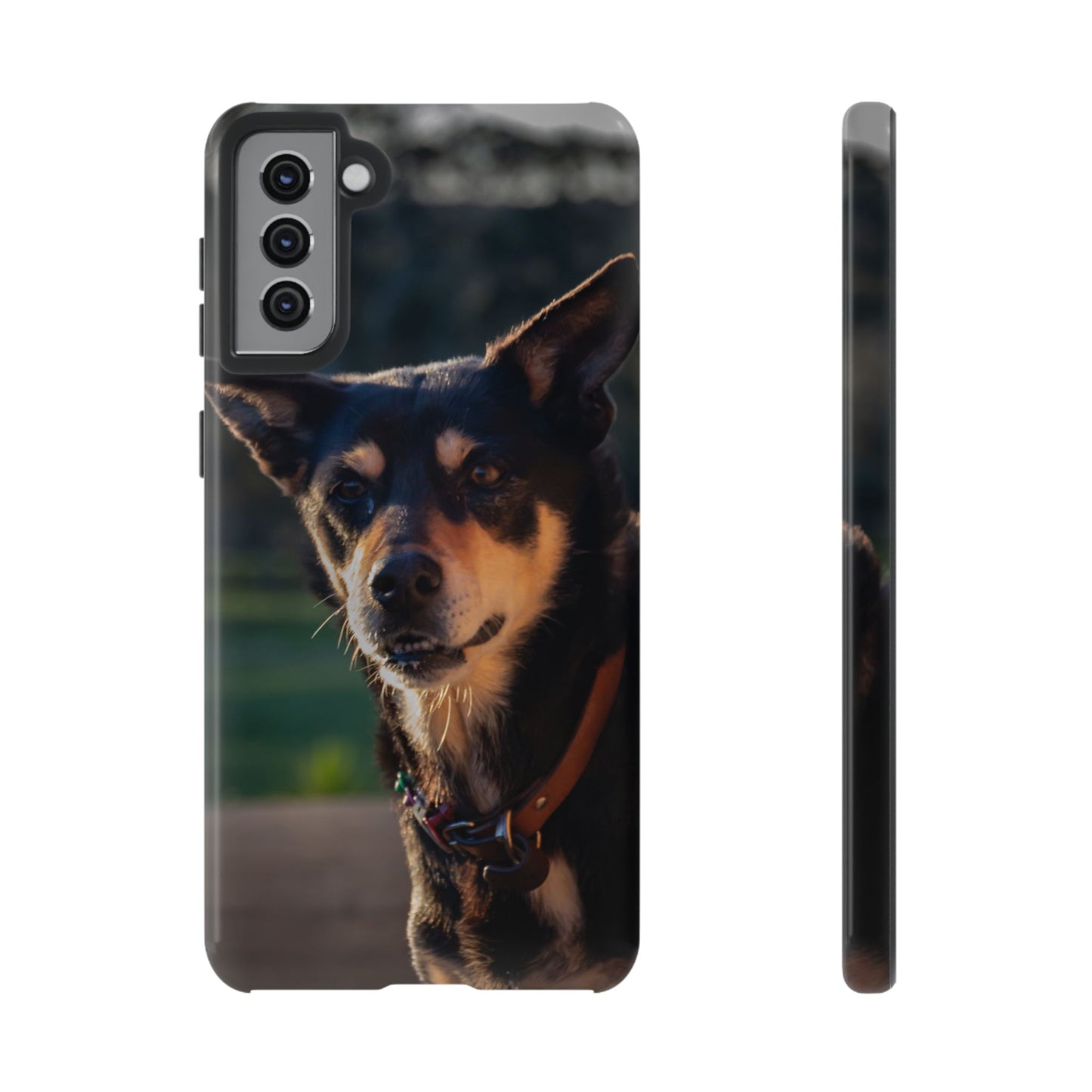 Tough Case - Saba the Kelpie Samsung Galaxy S21 Plus Glossy