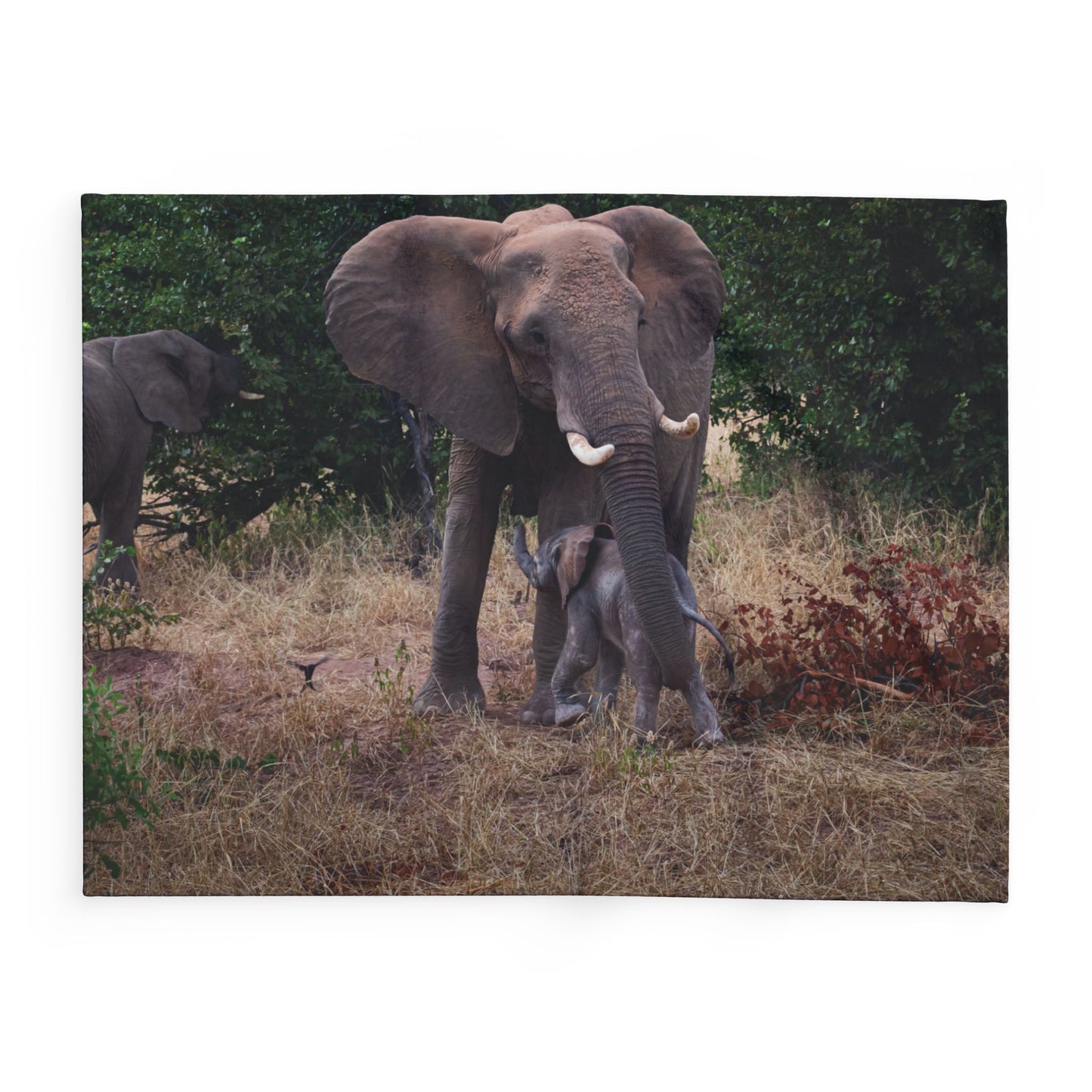 Arctic Fleece Blanket - Elephant and Baby