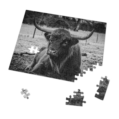 Scottish Highland Cattle Puzzle with Tin B&W