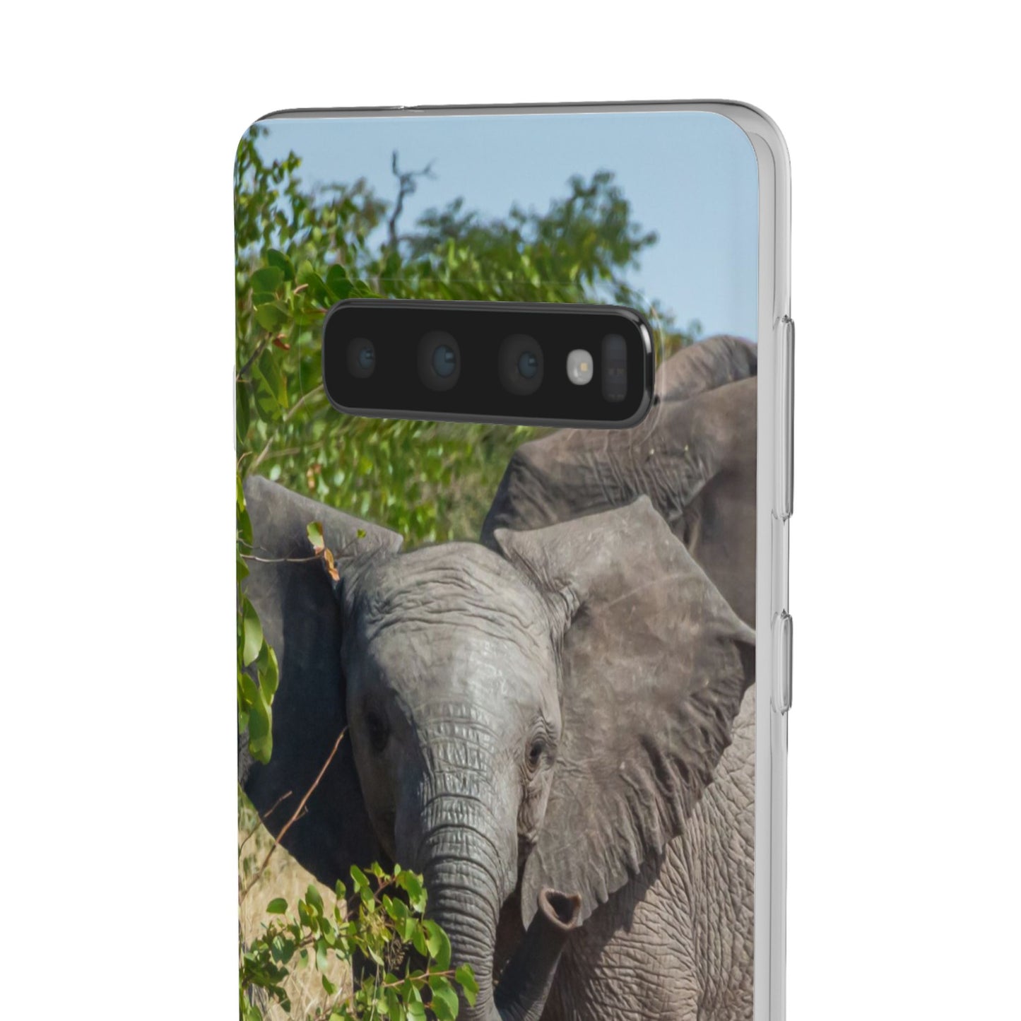 Flexi Cases - Young Elephant