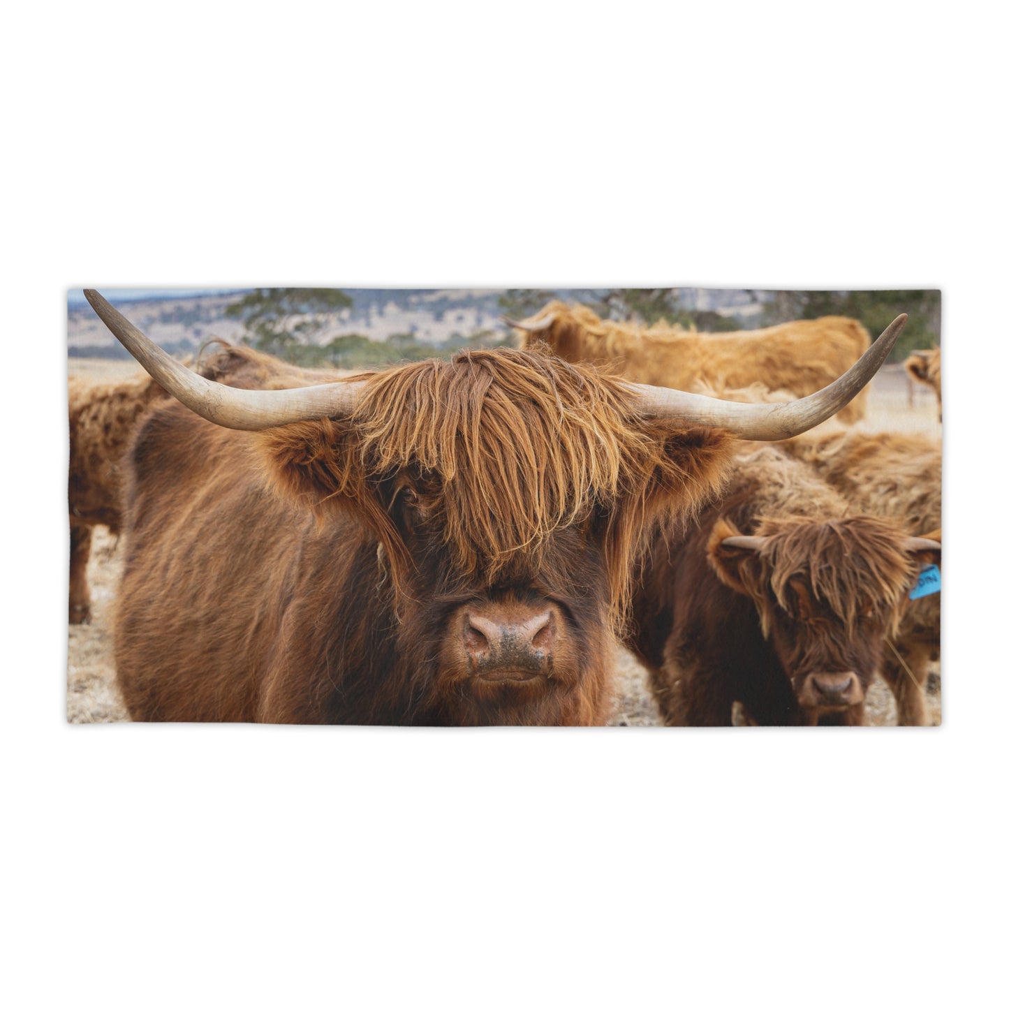 Scottish Highland Beach Towels 30" × 60"