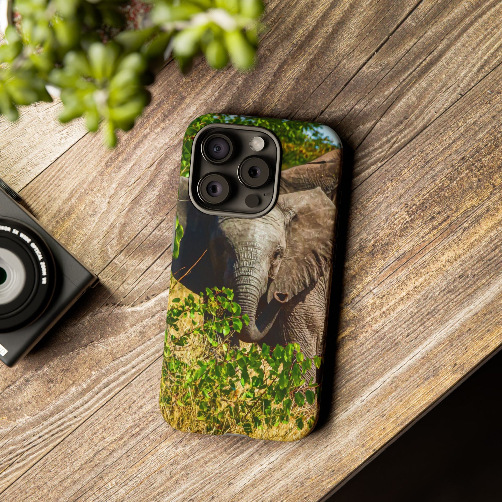 Tough Case - Young Elephant