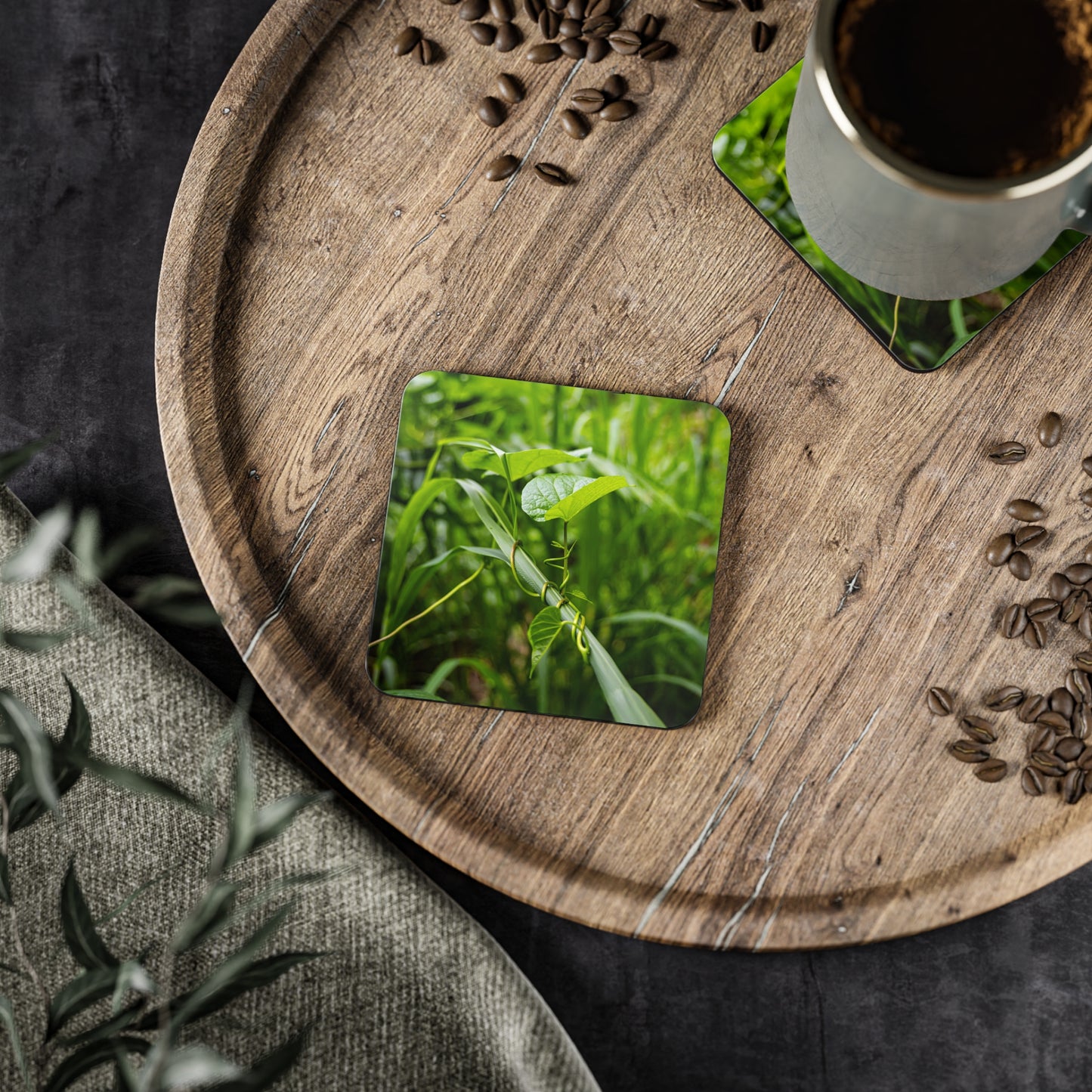 Fiji Vine Coasters