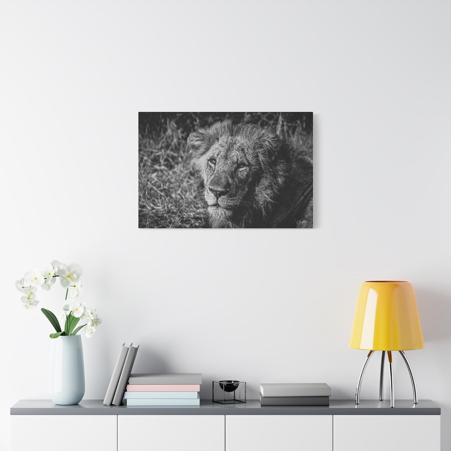 Old Lion Canvas Print B&W