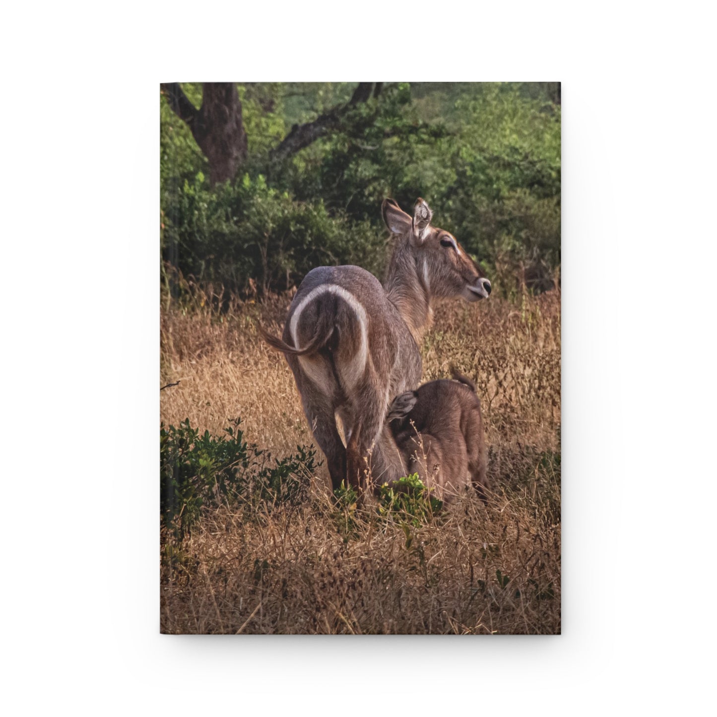 Hardcover Journal Matte - Waterbuck and Baby