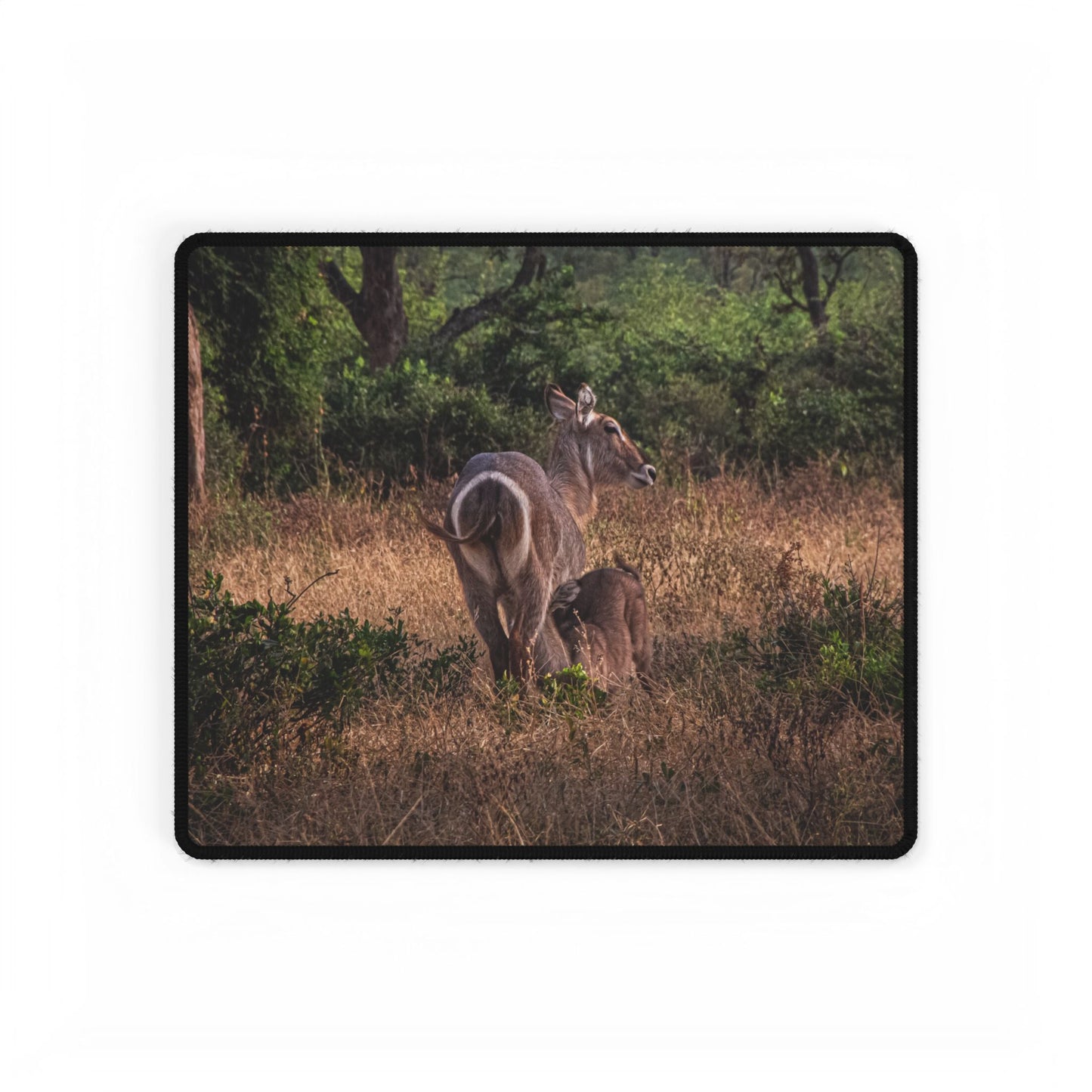 Desk Mats - Waterbuck and Baby