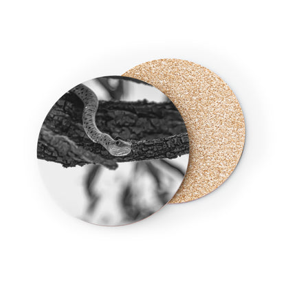 Spotted Bush Snake Coasters B&W Round 3.7" x 3.7" 1pc