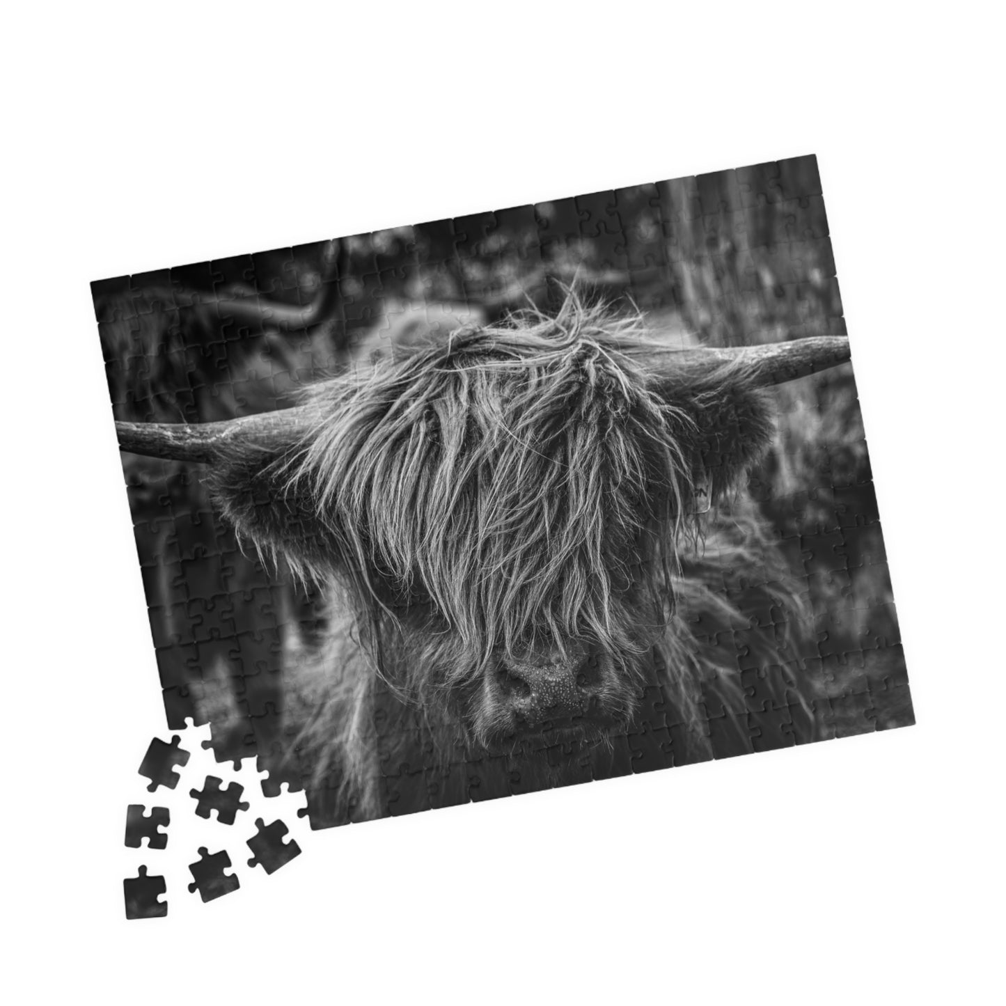 Scottish Highland Cattle Puzzle B&W