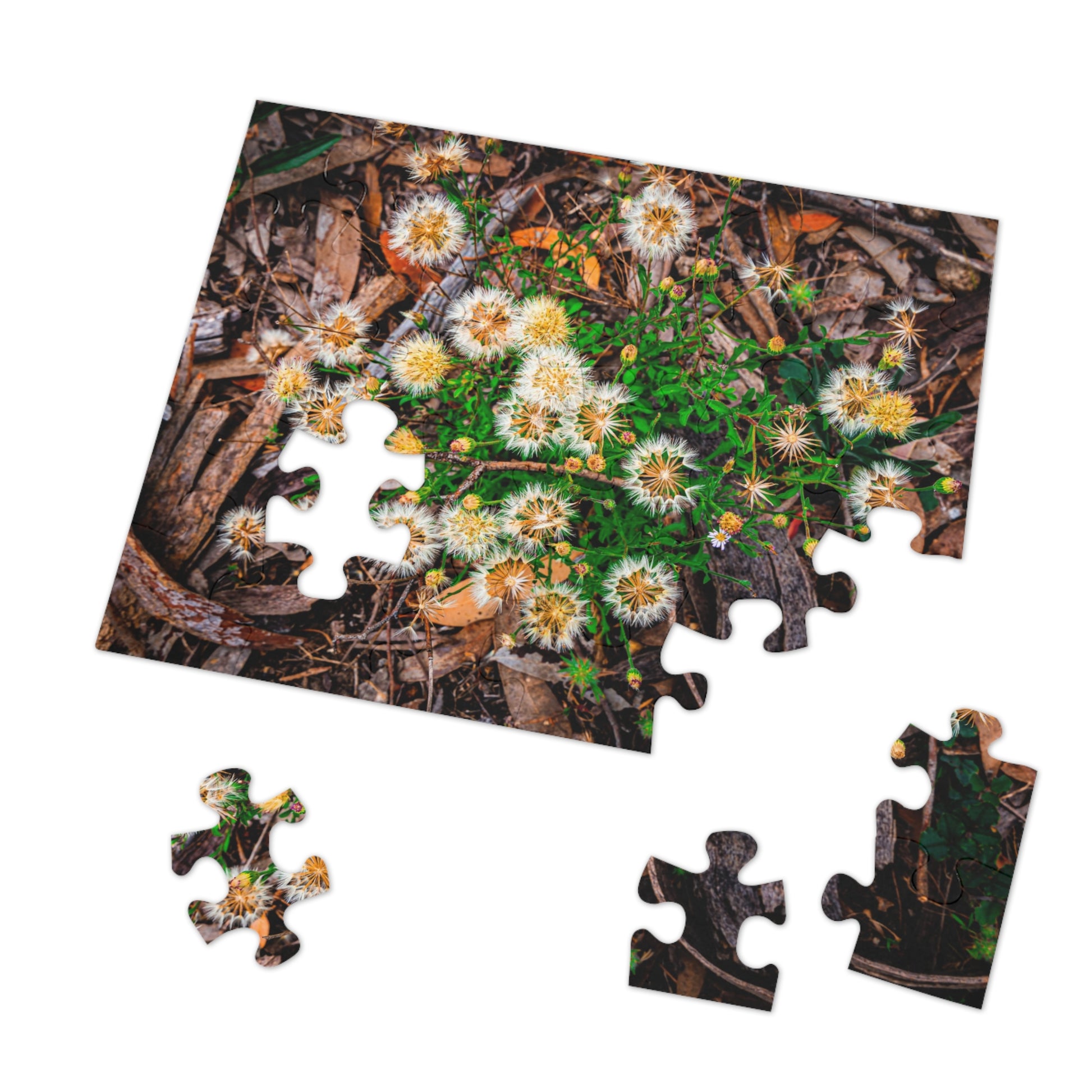 Australian Wildflower Jigsaw Puzzle 2000 piece