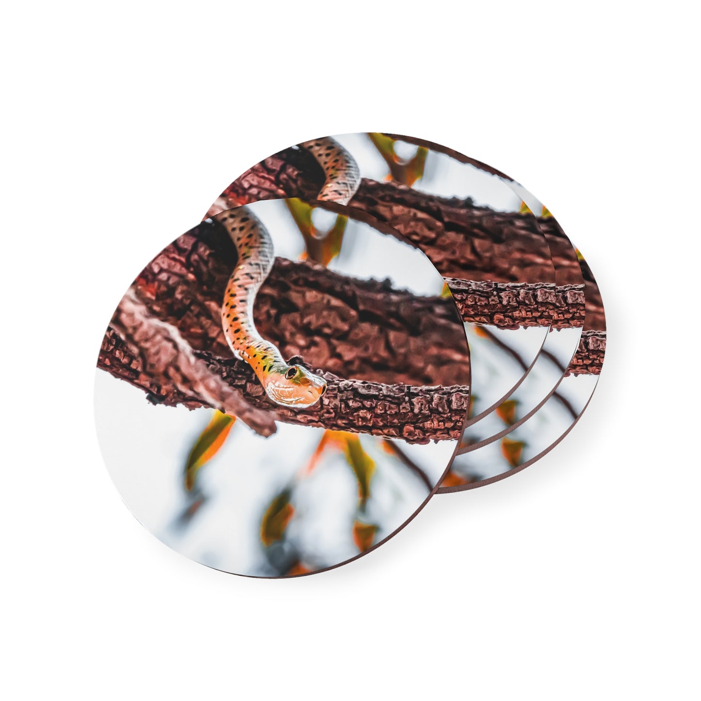 Spotted Bush Snake Coasters Round 3.7" x 3.7" 4pcs