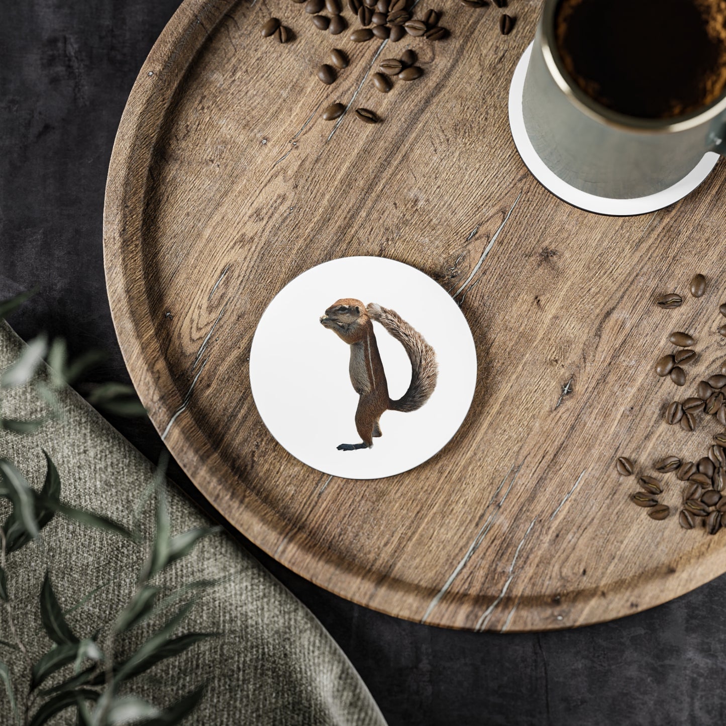 Ground Squirrel Coasters