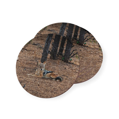 Black-Backed Jackal Coasters Round 3.7" x 3.7" 4pcs