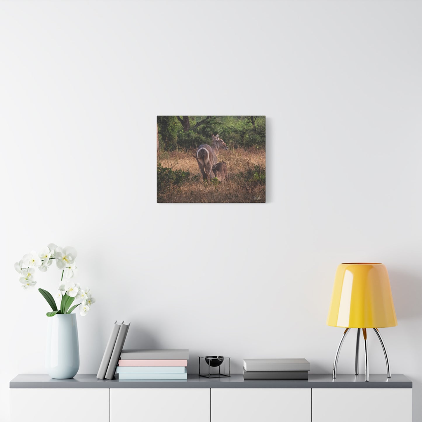 Matte Canvas, Stretched, 1.25" - Waterbuck and Baby