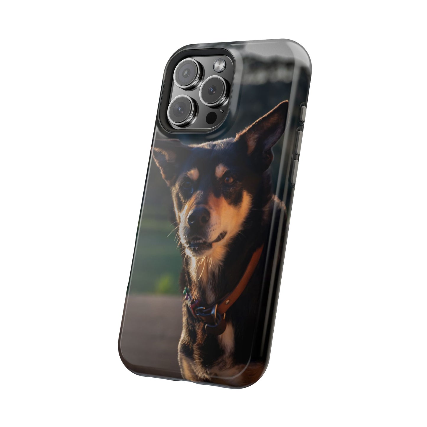 Magsafe® Compatible Tough Cases - Saba The Kelpie