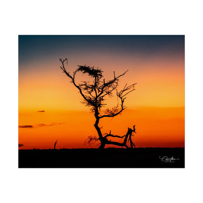 Rolled Posters - Sunset over the Kalahari