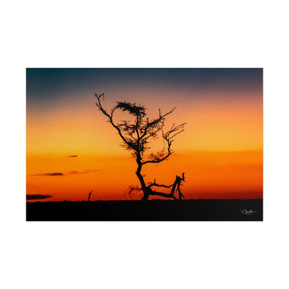 Rolled Posters - Sunset over the Kalahari