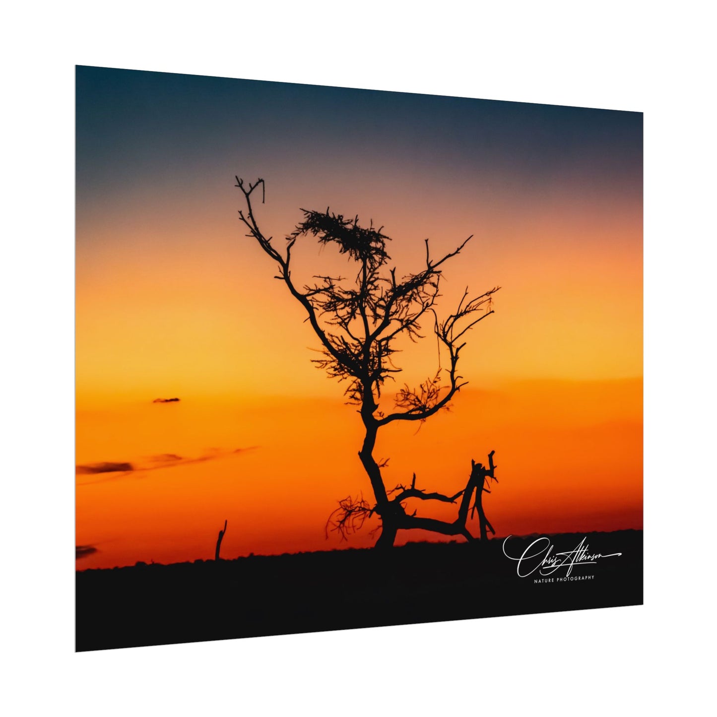 Rolled Posters - Sunset over the Kalahari