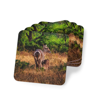 Waterbuck Baby Animal Coasters Square 3.7" x 3.7" 4pcs