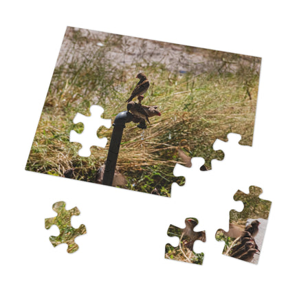 African Birds Jigsaw Puzzle with Tin