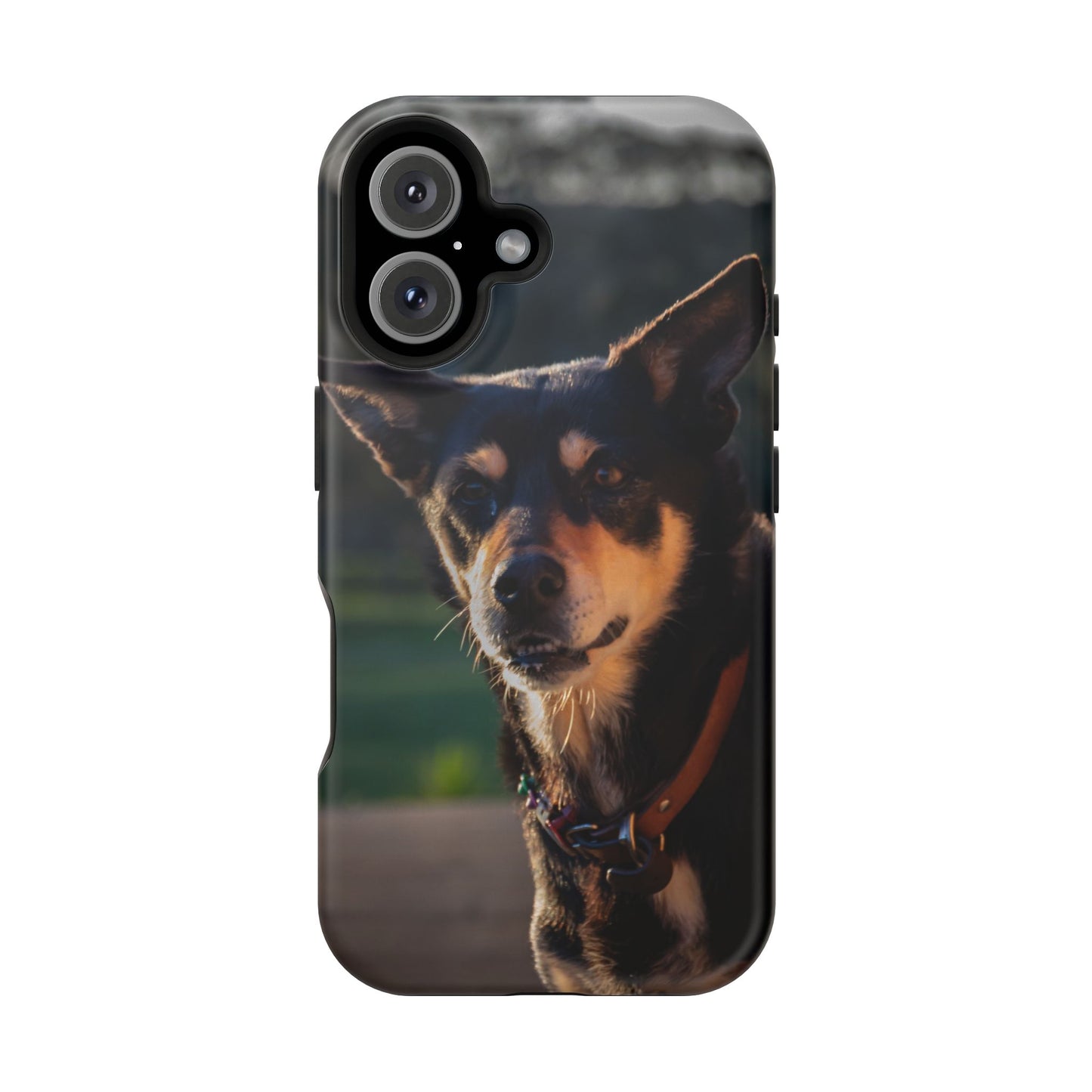 Magsafe® Compatible Tough Cases - Saba The Kelpie iPhone 16 Matte