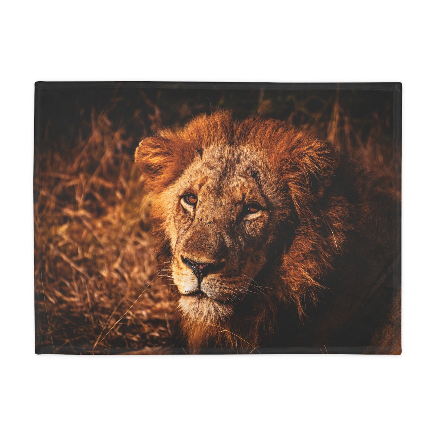 Lion Fleece Blanket 30" × 40"