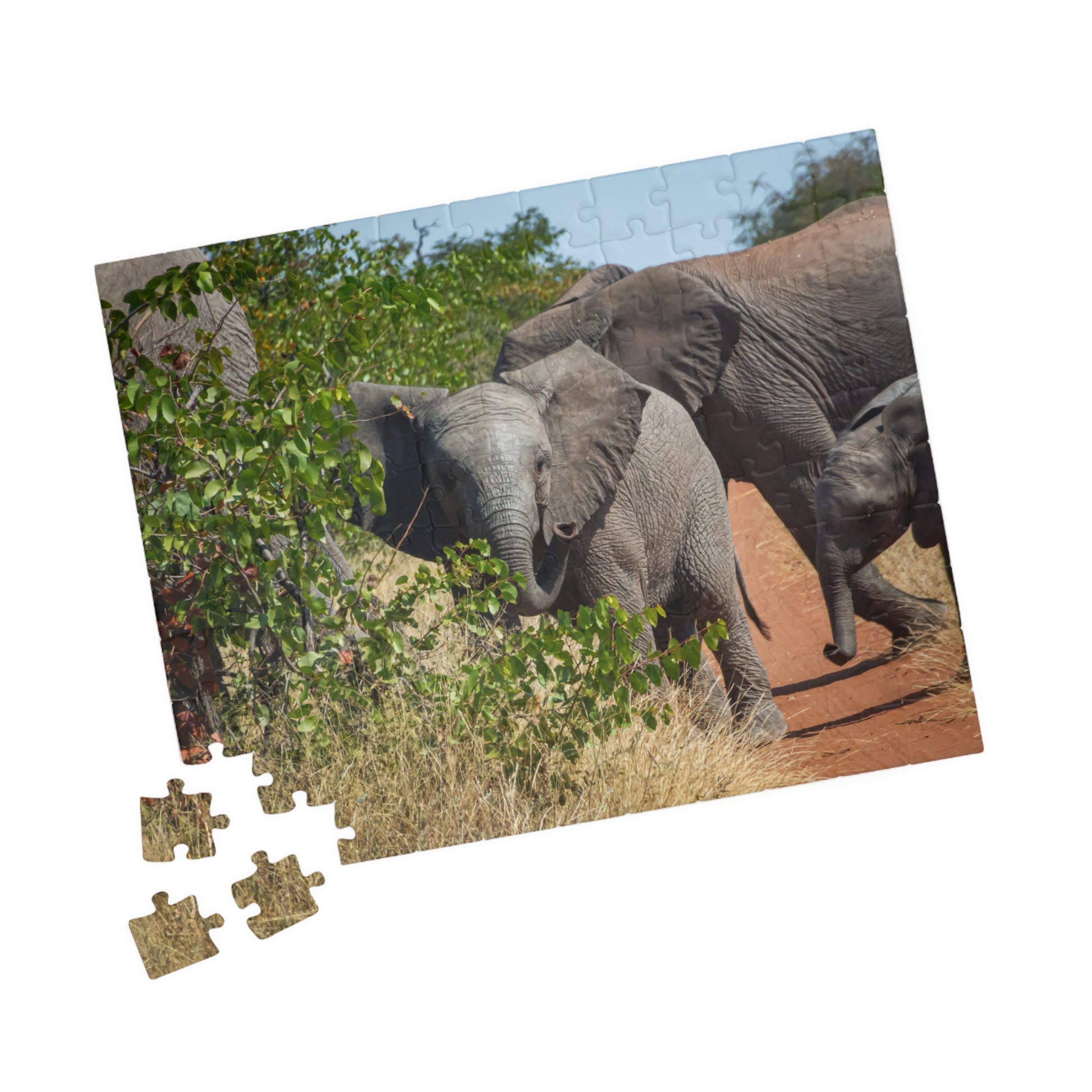 Young Elephant Jigsaw Puzzle