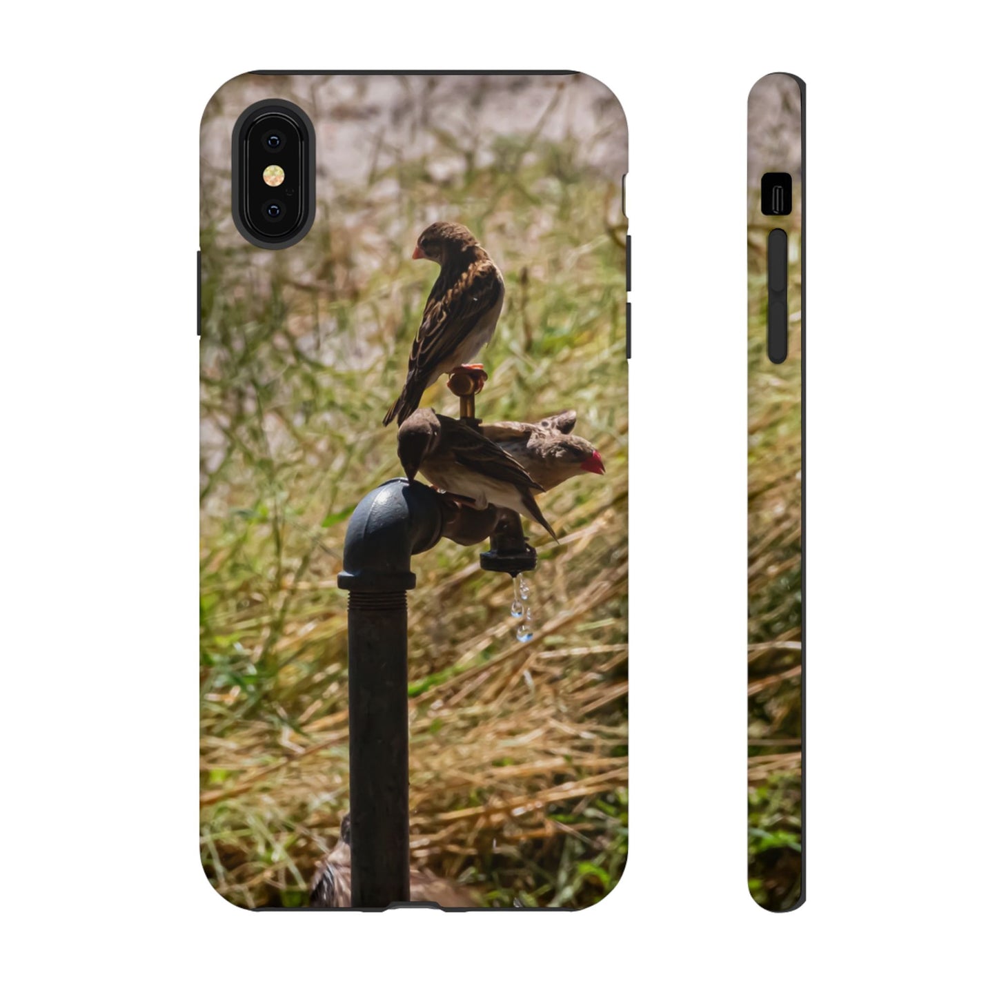 Tough Case - Birds at A Dripping Tap iPhone XS MAX Matte