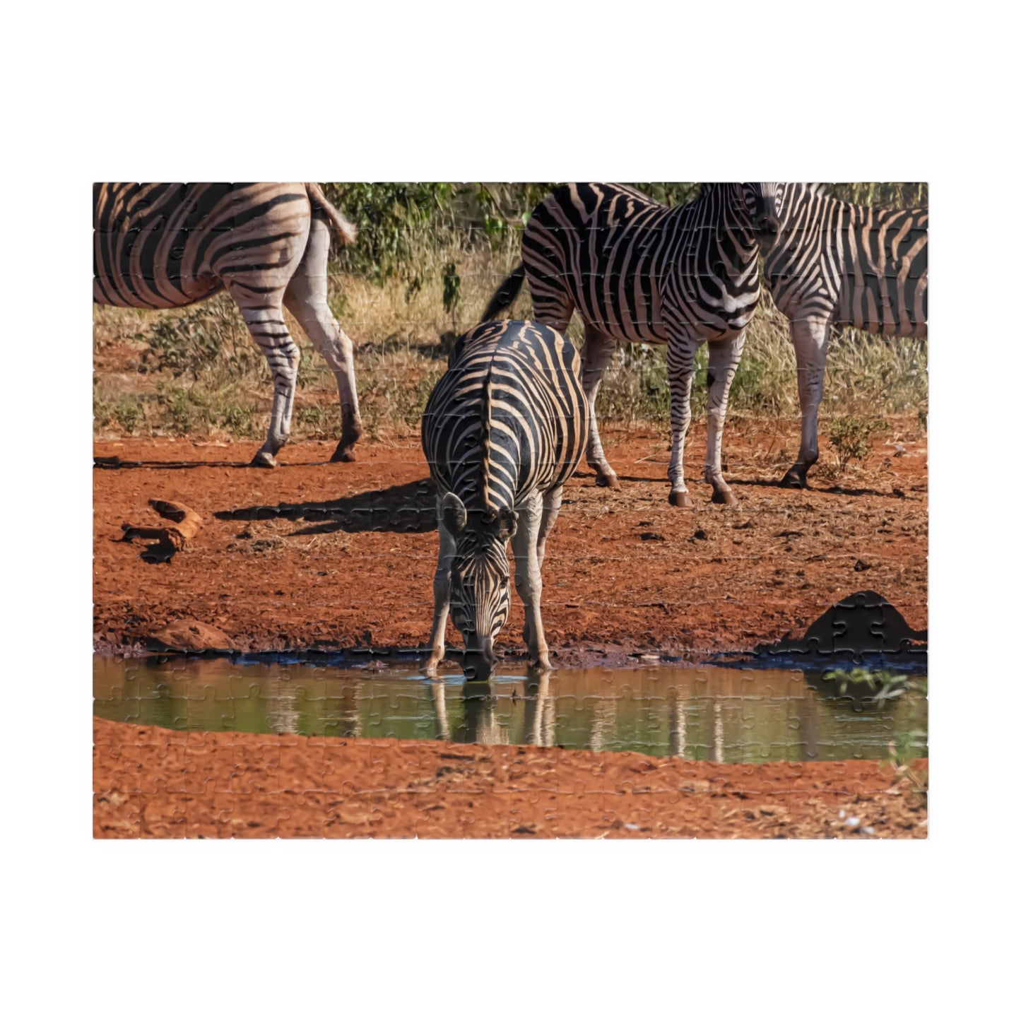 Puzzle (110, 252, 520, 1014-piece) - Zebra Drinking