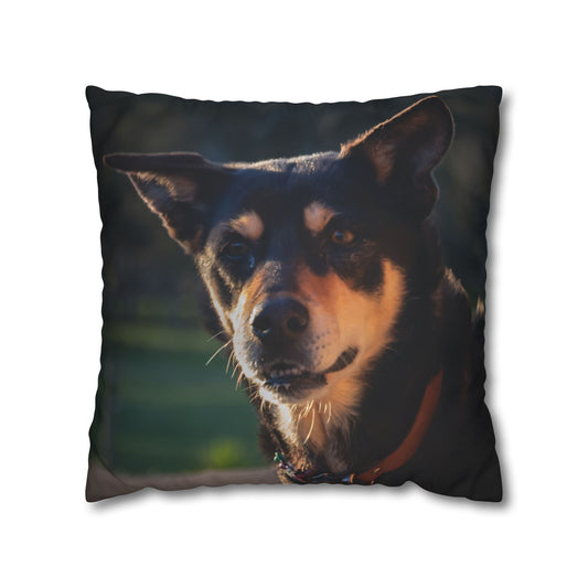 Poly Canvas Pillowcase - Saba the Kelpie