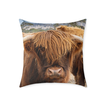 Highland Cattle Pillow 24" × 24"