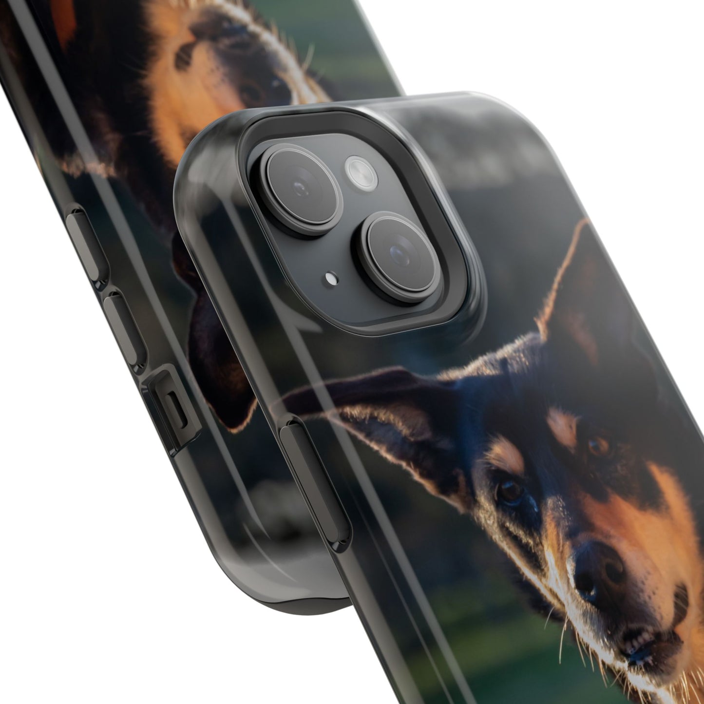 Magsafe® Compatible Tough Cases - Saba The Kelpie
