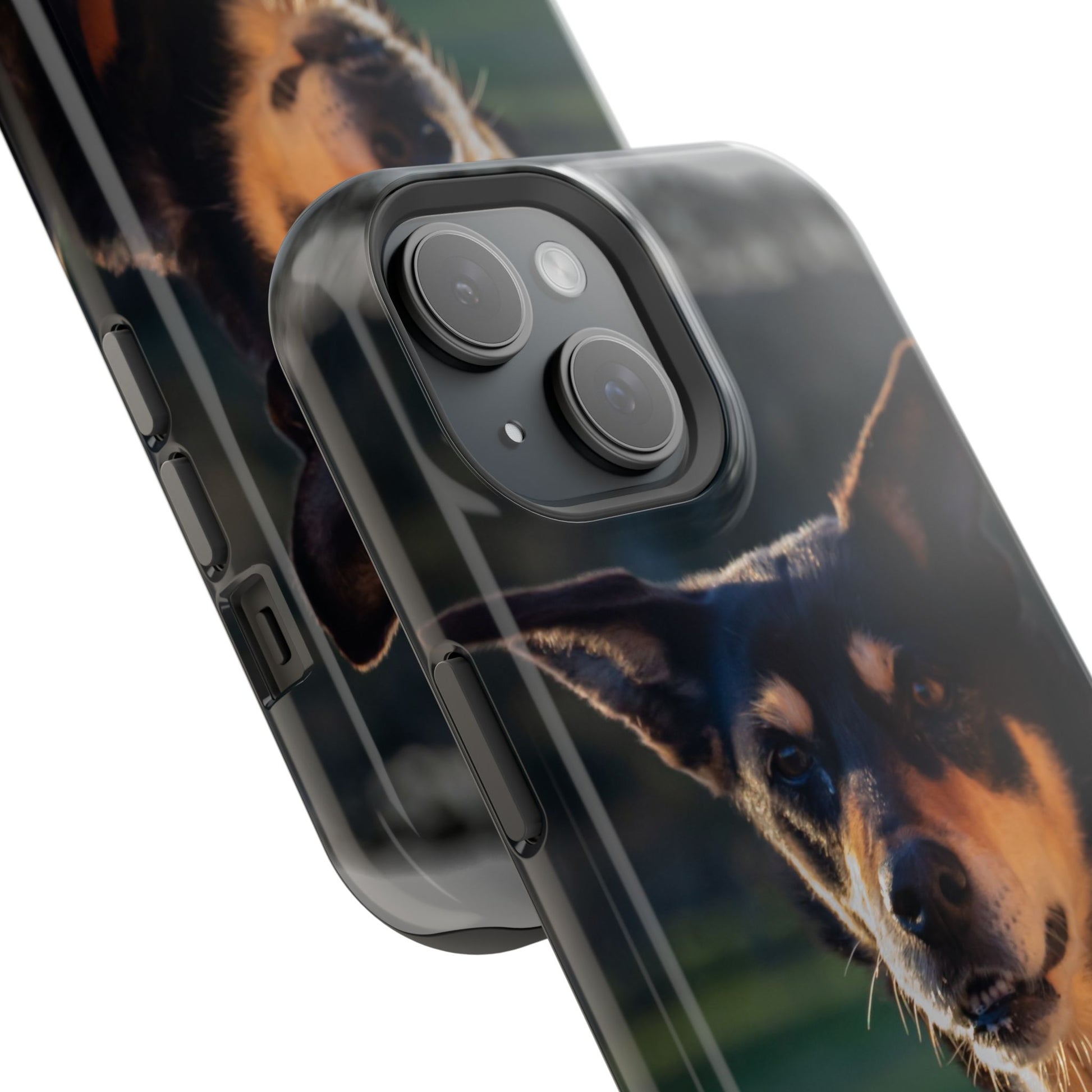 Magsafe® Compatible Tough Cases - Saba The Kelpie