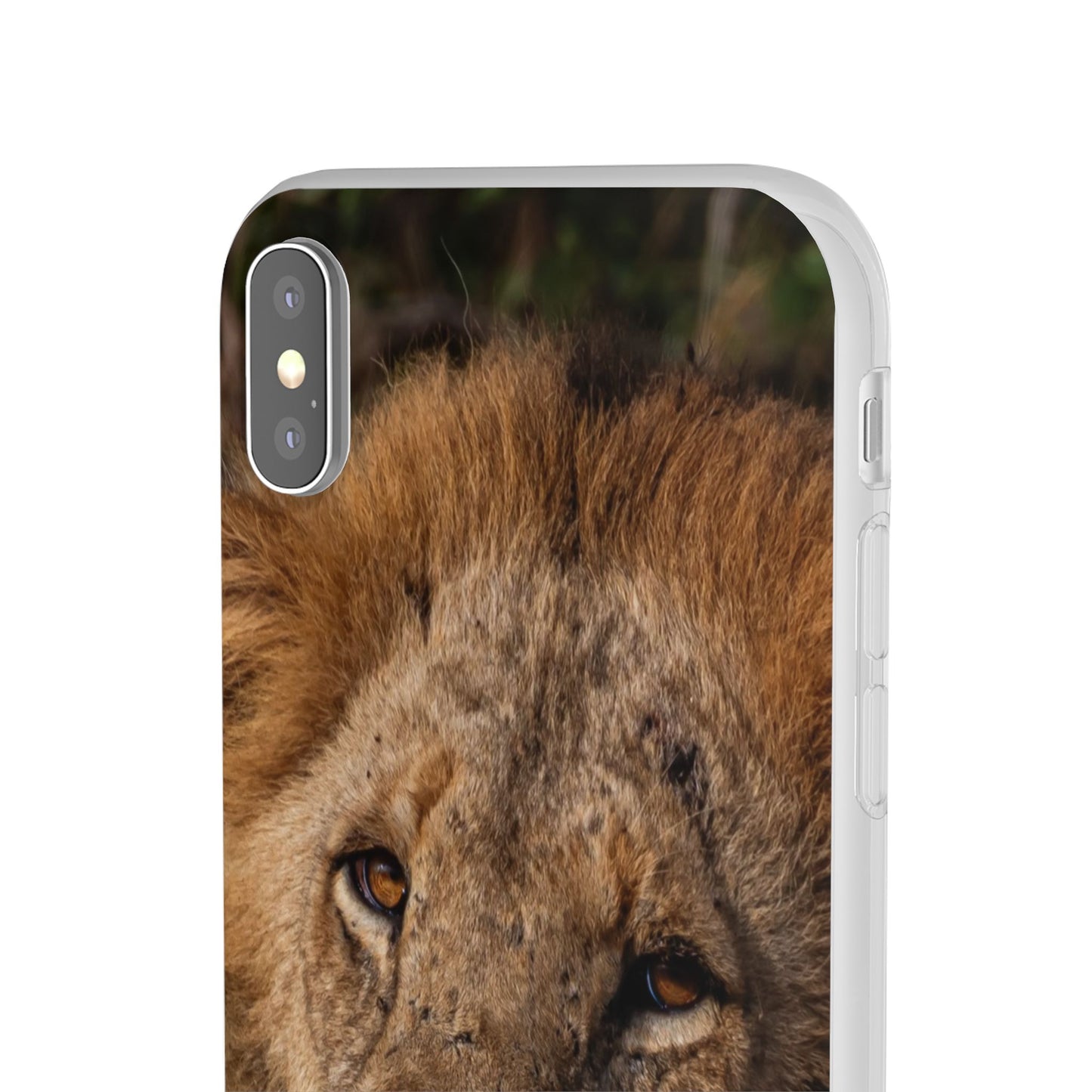 Flexi Cases - Old Lion