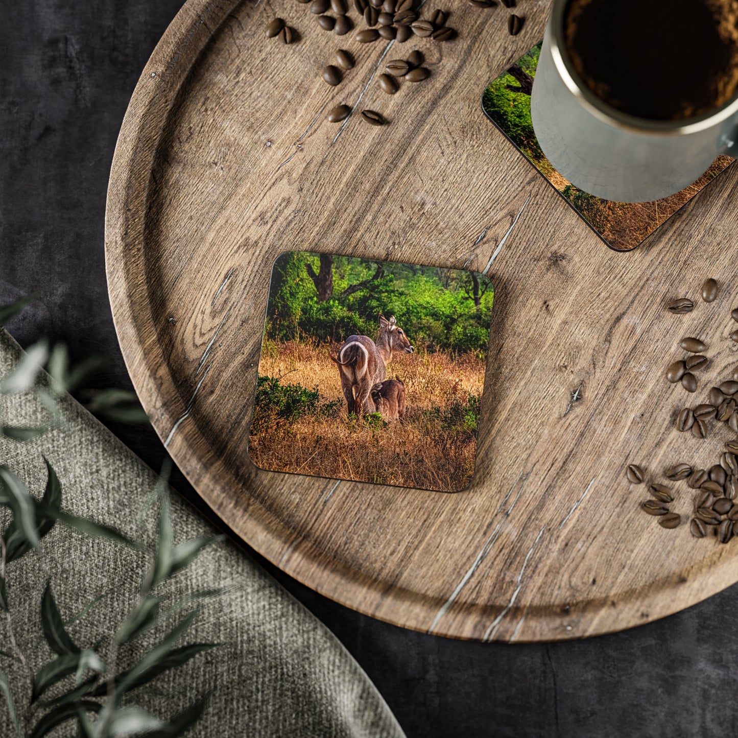 Waterbuck Baby Animal Coasters