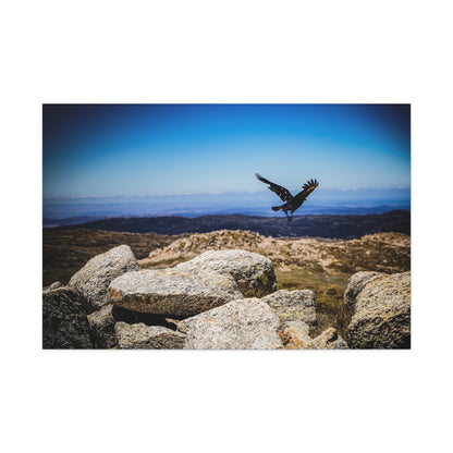 Little Raven Mt Kosciuszko Canvas Print 48″ x 32″ (Horizontal) 1.25"