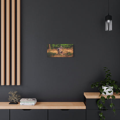 Waterbuck Nature Prints Matte Canvas