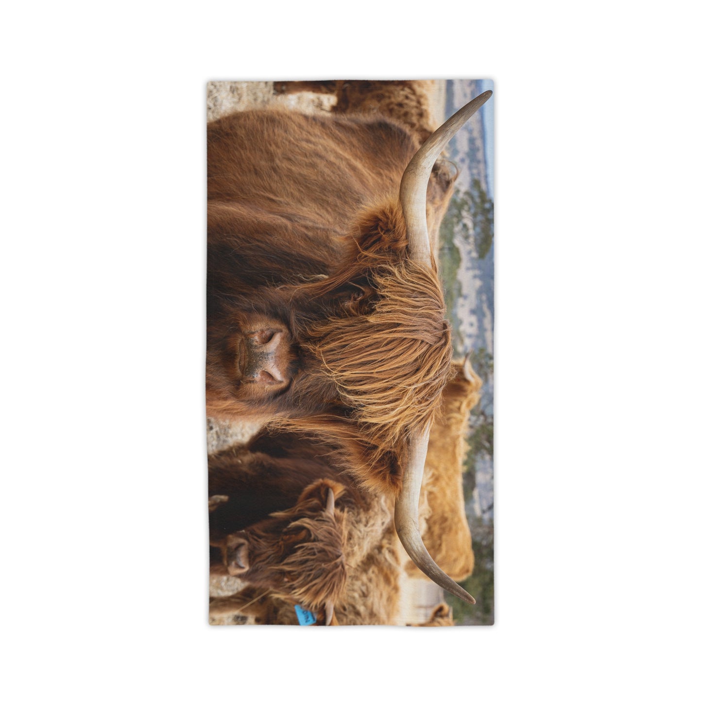 Scottish Highland Beach Towels 24" x 44"