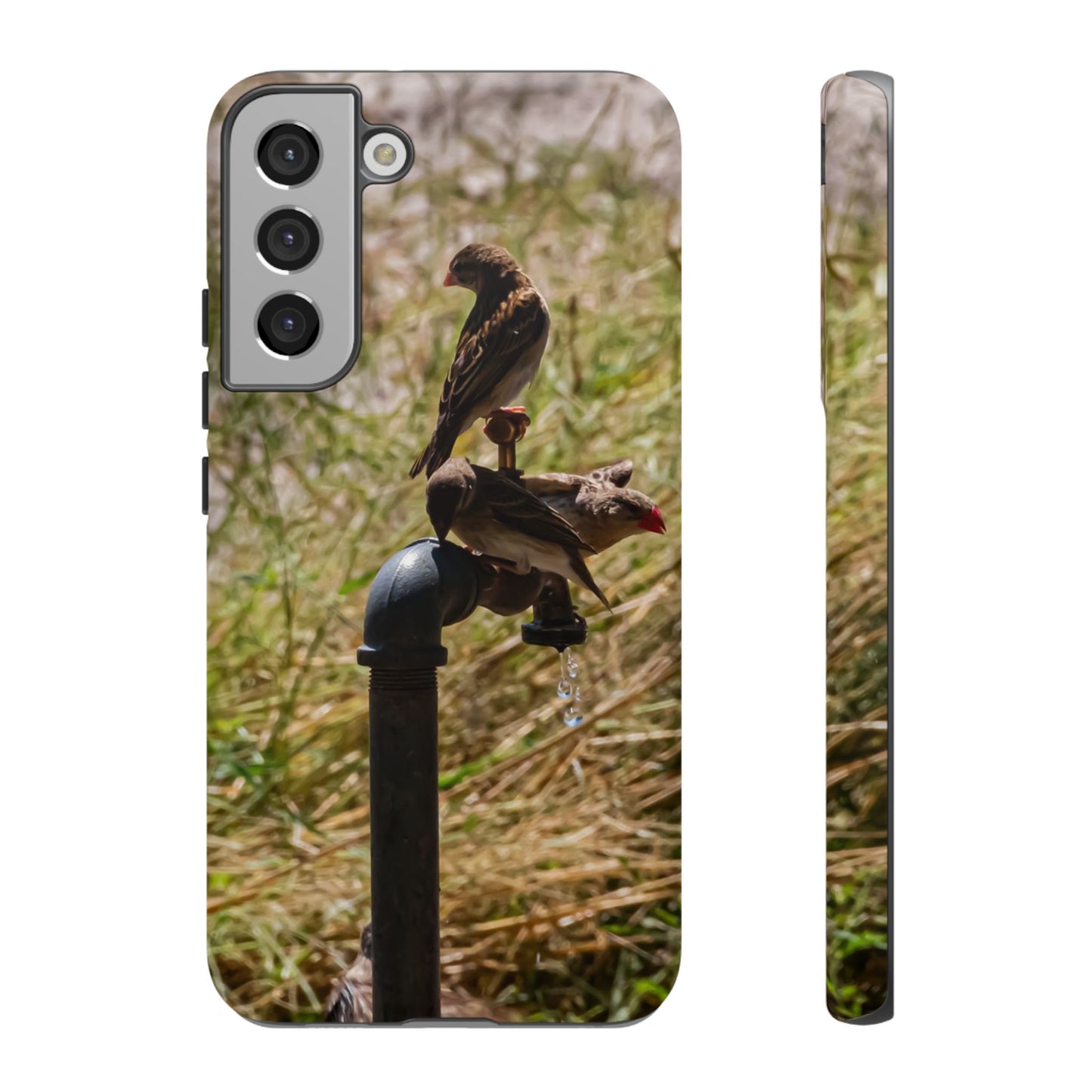 Tough Case - Birds at A Dripping Tap Samsung Galaxy S22 Plus Matte