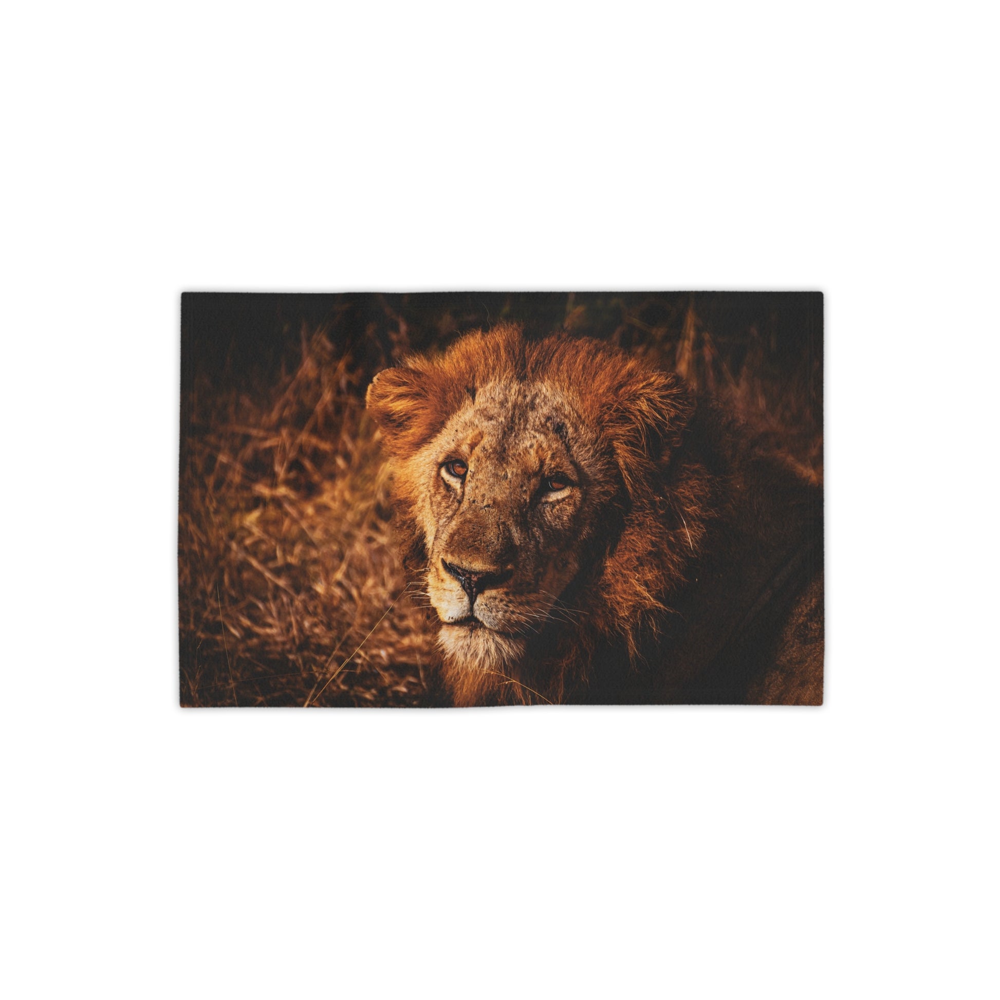 Lion Portrait Beach Towels 18" x 27"