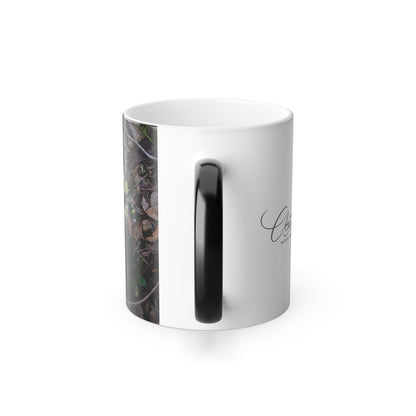 Colour Morphing Mug, 11oz - Australian Wildflower Collection