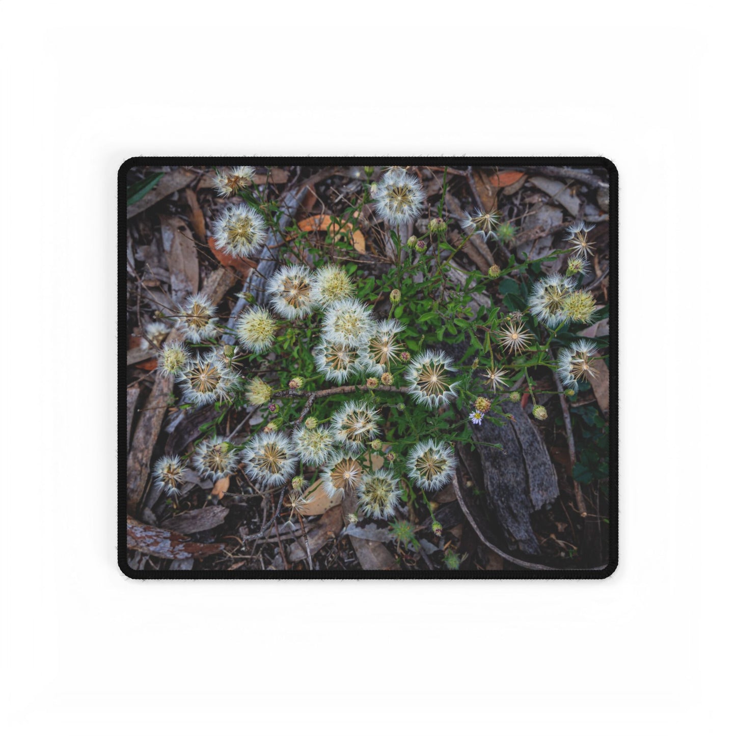 Australian Wildflower Desk Mat