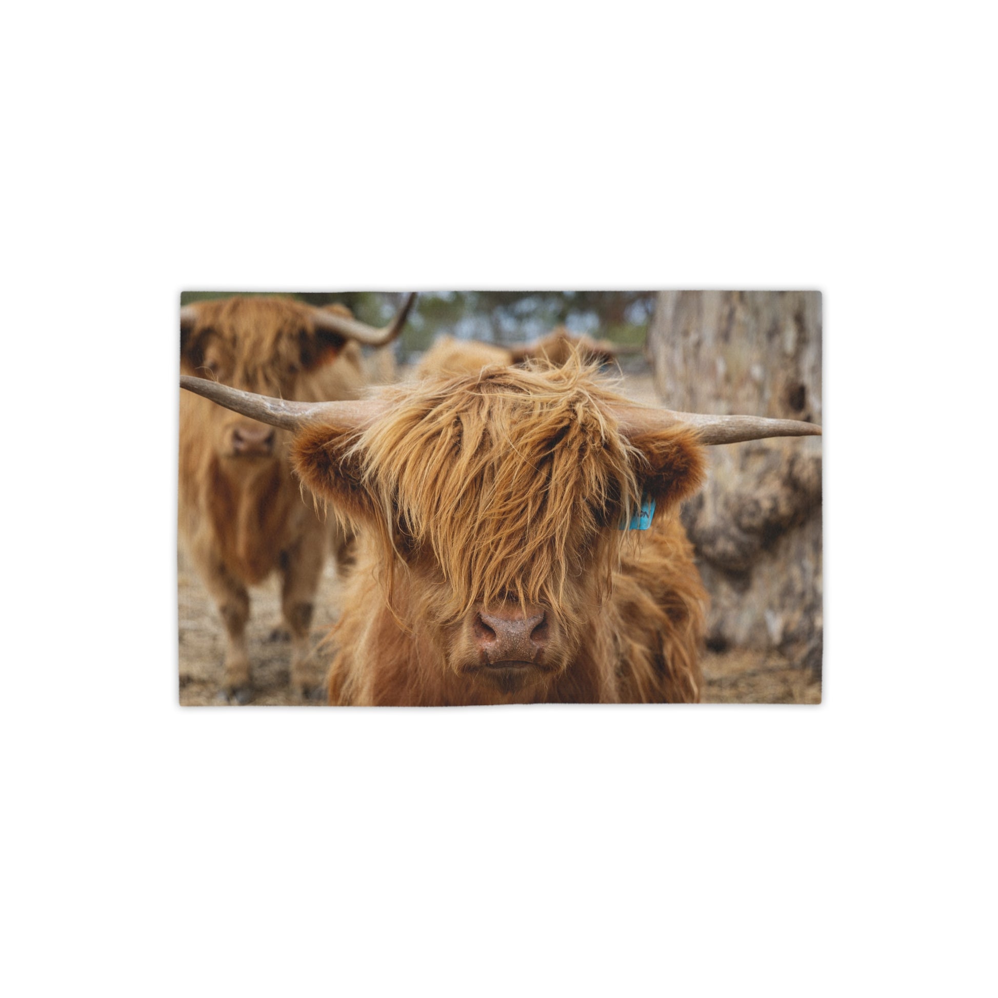 Scottish Highland Beach Towels