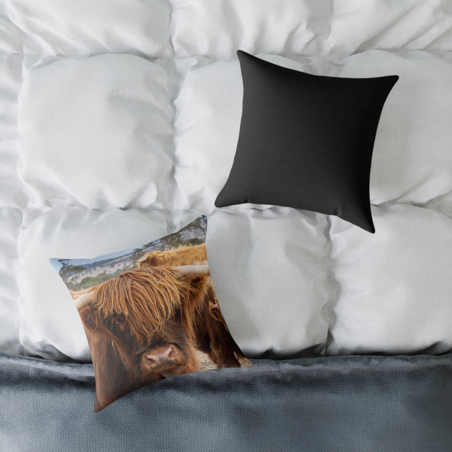 Highland Cattle Pillow