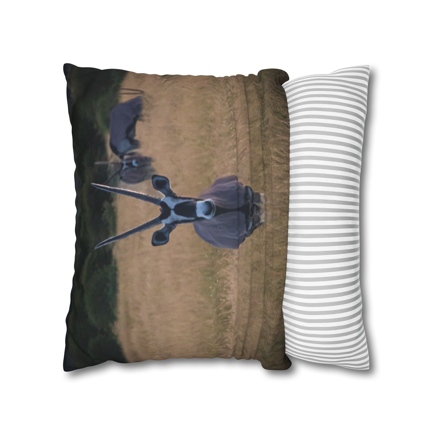 Poly Canvas Pillowcase - Gemsbok