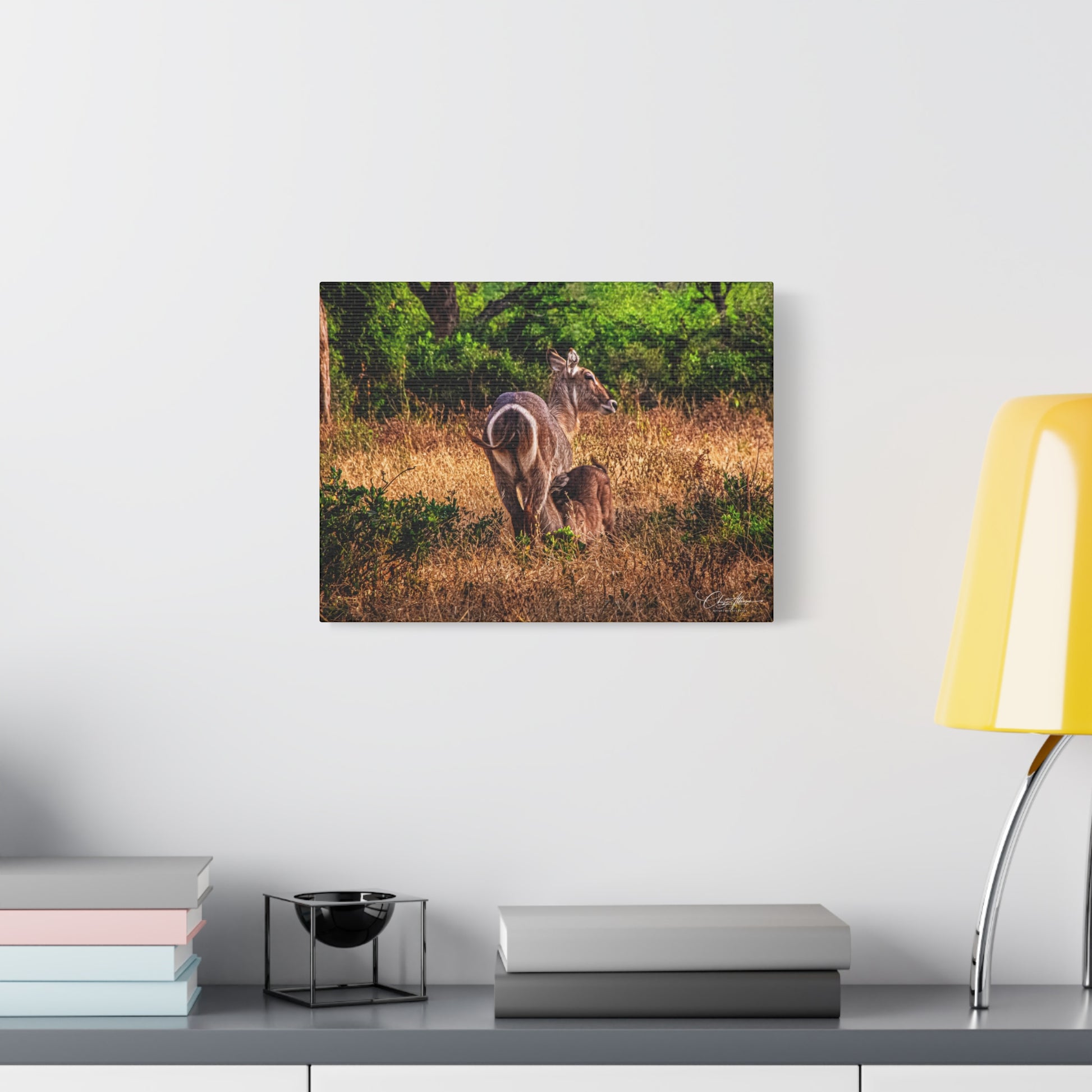 Waterbuck Nature Prints Matte Canvas