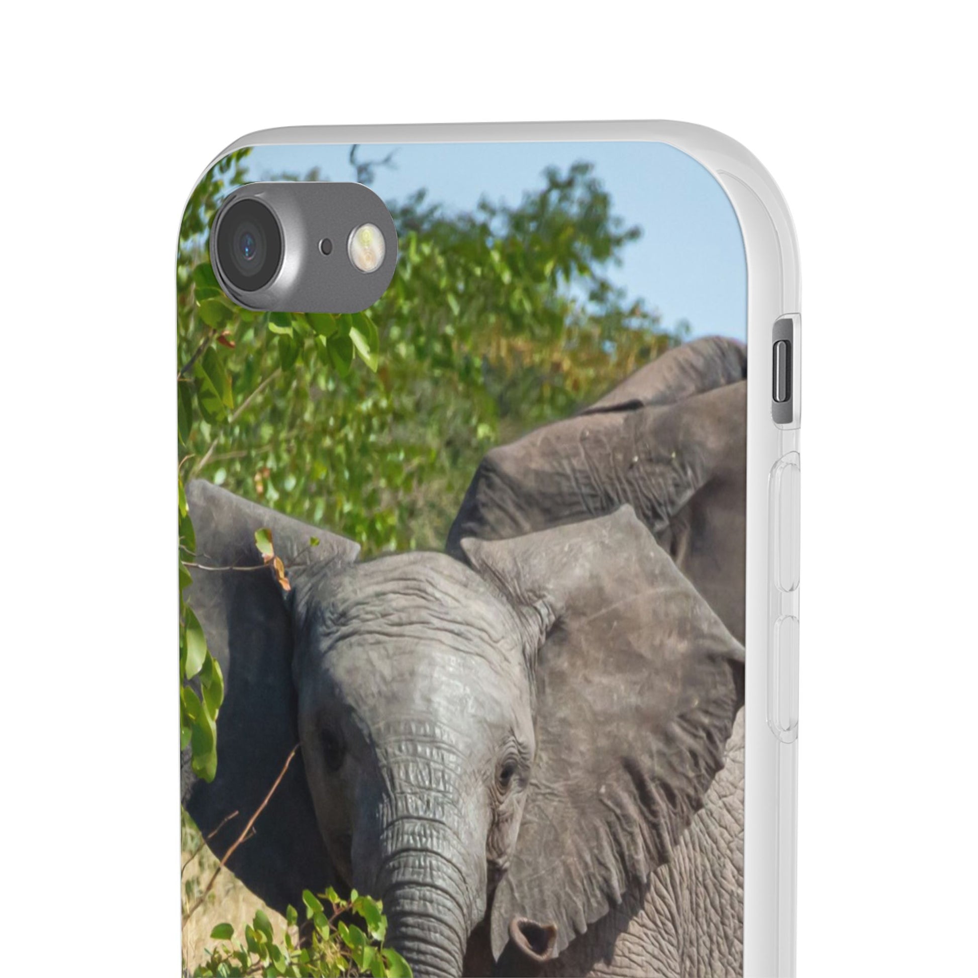 Flexi Cases - Young Elephant