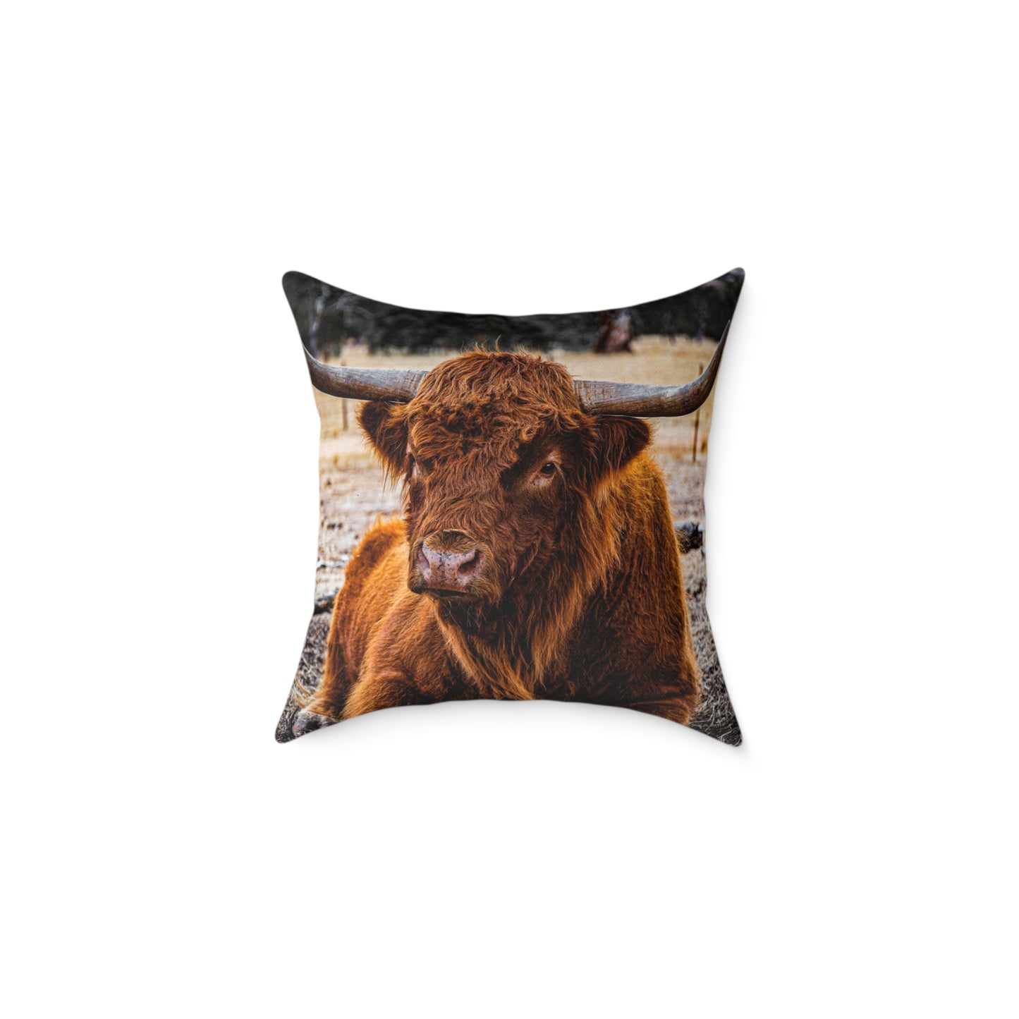 Highland Cattle Pillow 18" × 18"