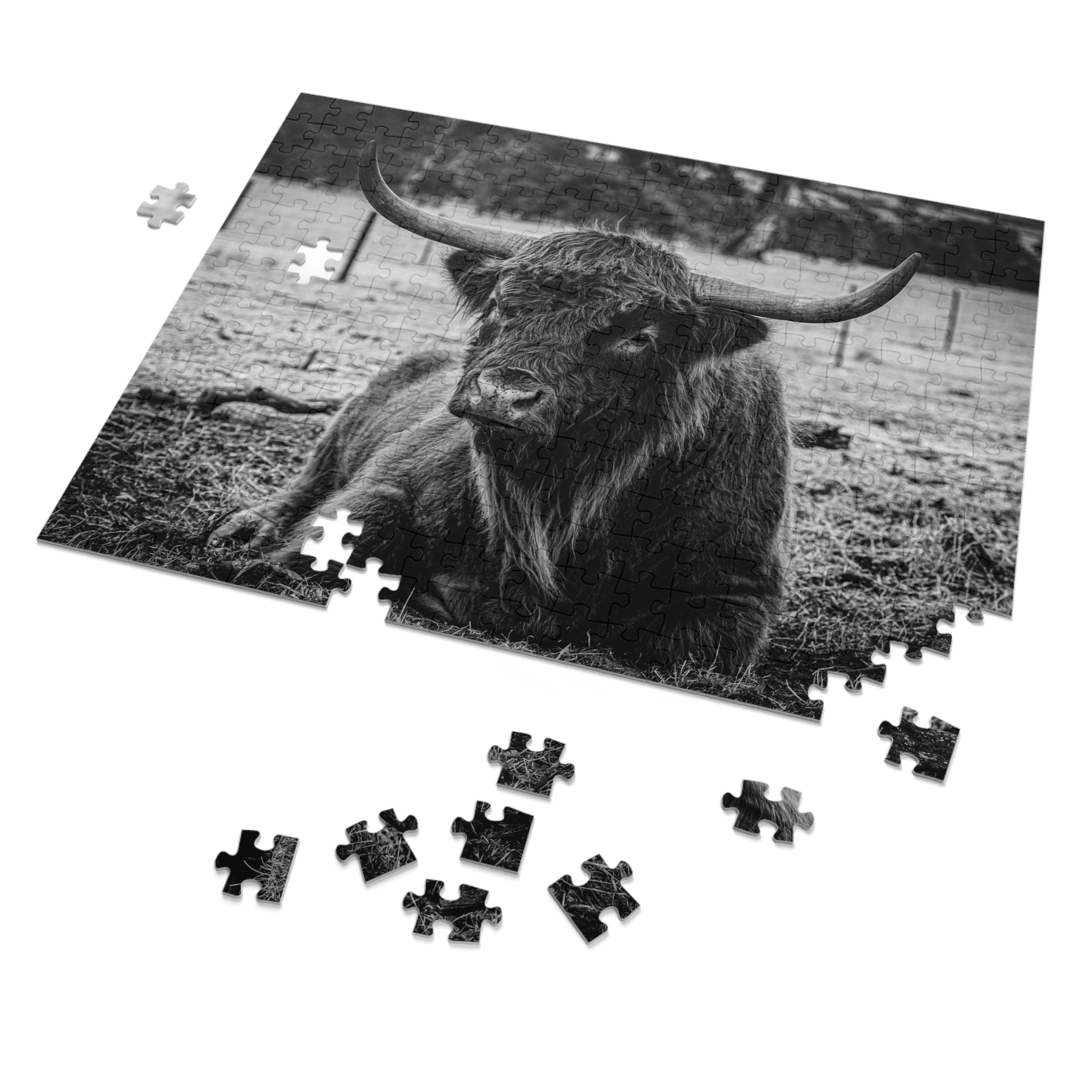 Scottish Highland Cattle Puzzle with Tin B&W